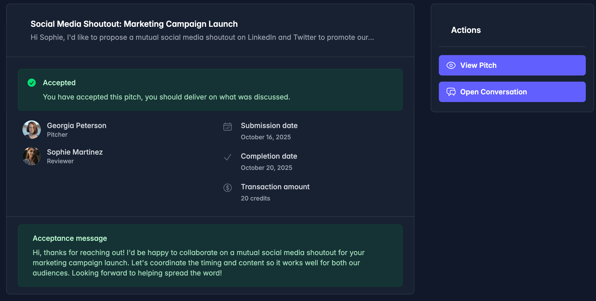 How an accepted pitch looks like in the platform